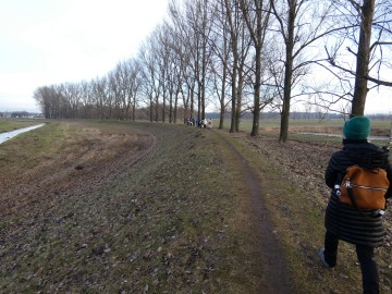 Spacer po Sieradzu w ramach Zimowego Ptakoliczenia 2025, 